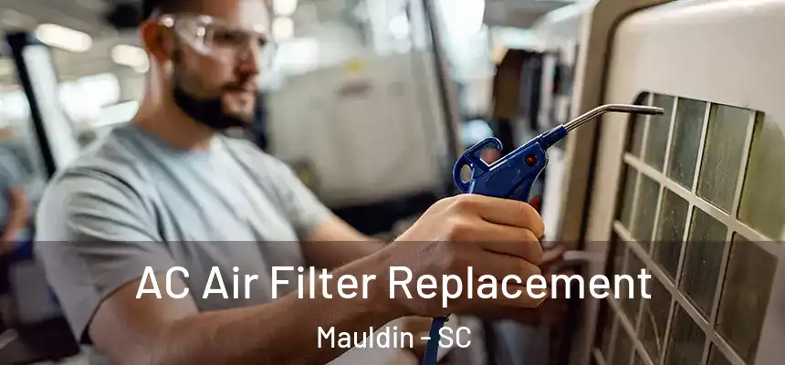 AC Air Filter Replacement Mauldin - SC