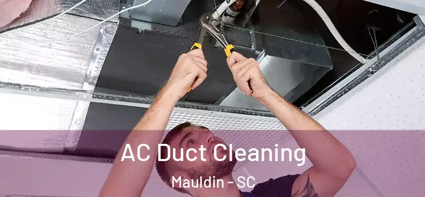  AC Duct Cleaning Mauldin - SC
