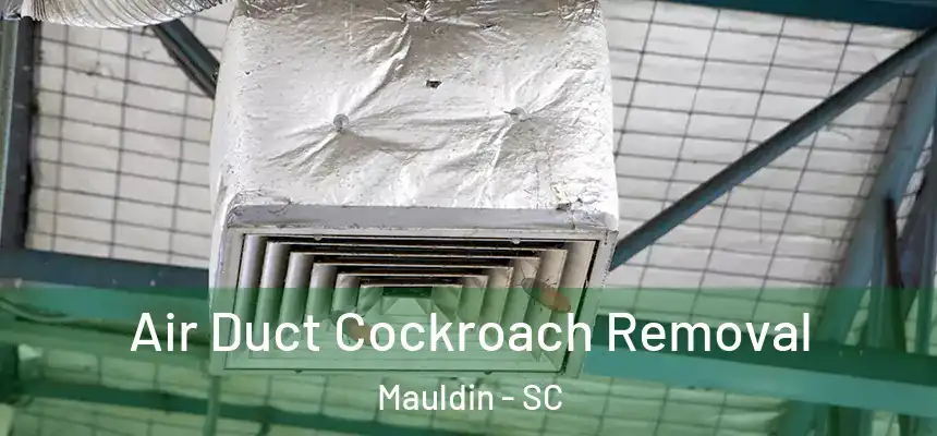  Air Duct Cockroach Removal Mauldin - SC