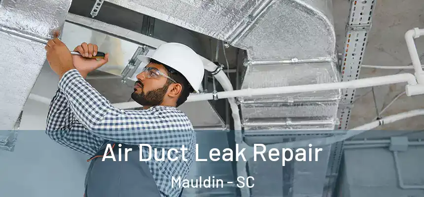  Air Duct Leak Repair Mauldin - SC