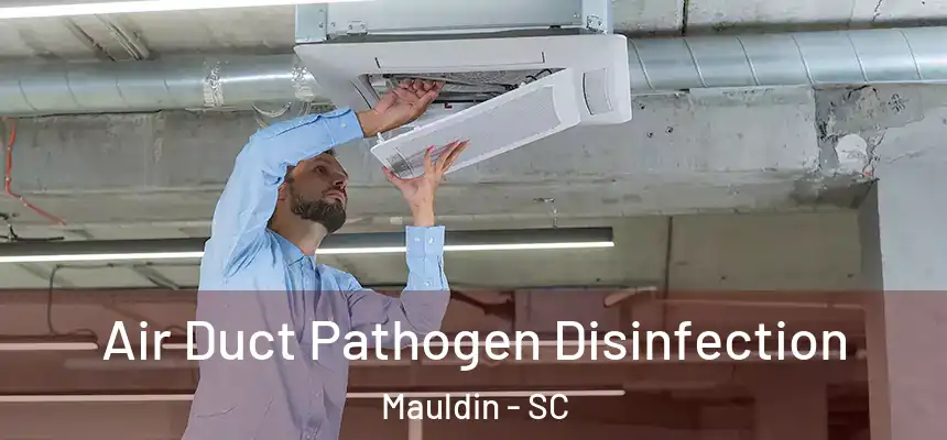 Air Duct Pathogen Disinfection Mauldin - SC