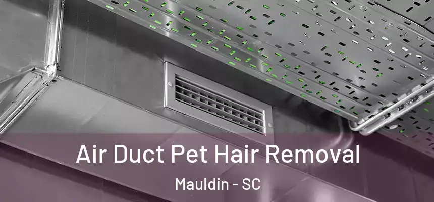  Air Duct Pet Hair Removal Mauldin - SC