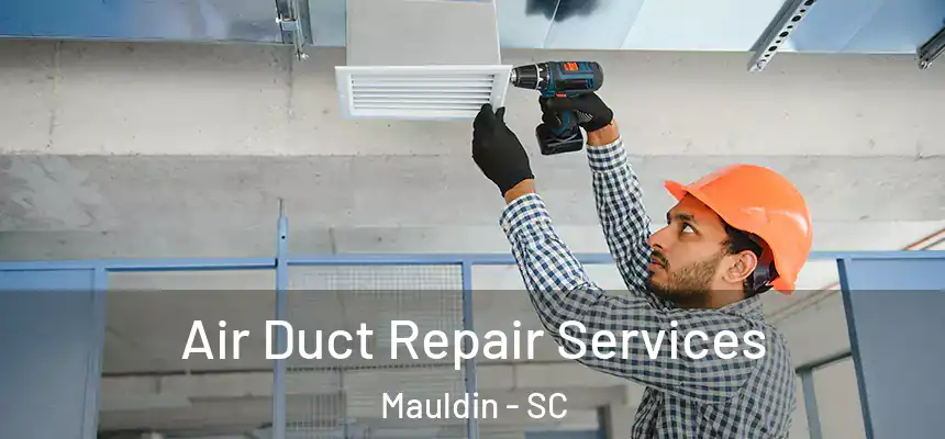  Air Duct Repair Services Mauldin - SC