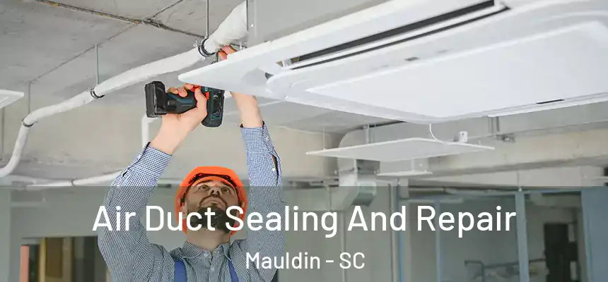  Air Duct Sealing And Repair Mauldin - SC