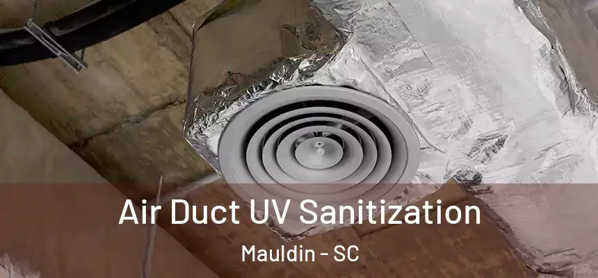 Air Duct UV Sanitization Mauldin - SC