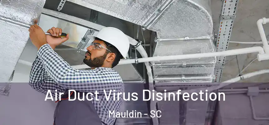  Air Duct Virus Disinfection Mauldin - SC