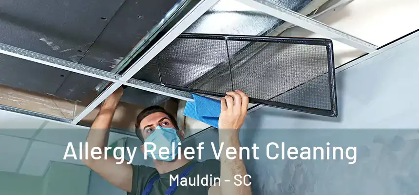 Allergy Relief Vent Cleaning Mauldin - SC