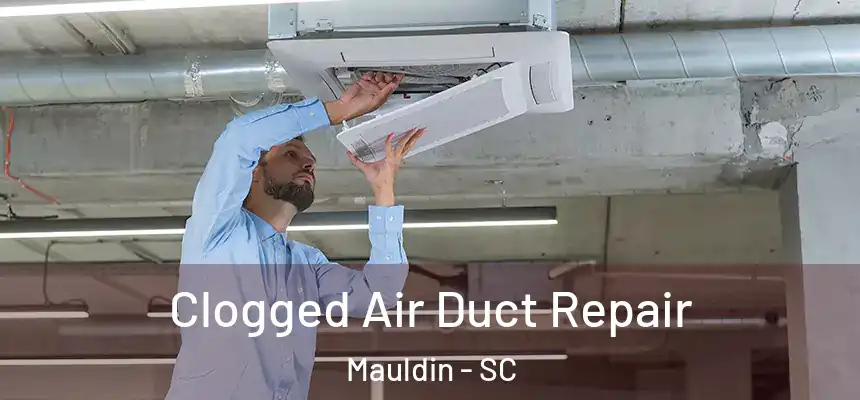  Clogged Air Duct Repair Mauldin - SC