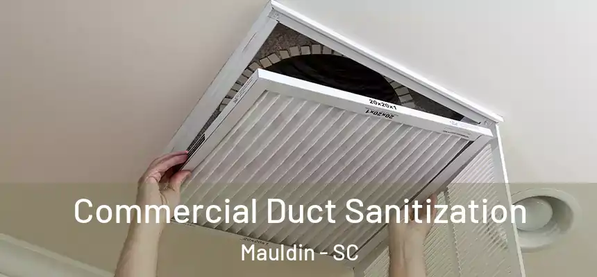Commercial Duct Sanitization Mauldin - SC