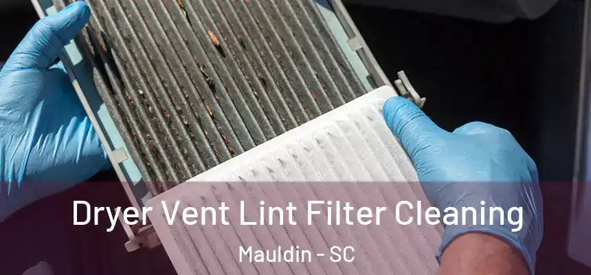 Dryer Vent Lint Filter Cleaning Mauldin - SC