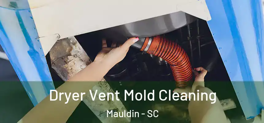 Dryer Vent Mold Cleaning Mauldin - SC