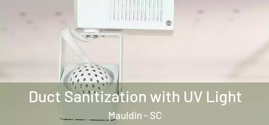 Duct Sanitization with UV Light Mauldin - SC