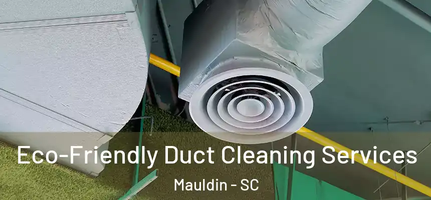  Eco-Friendly Duct Cleaning Services Mauldin - SC