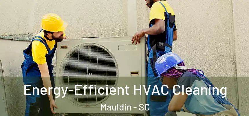 Energy-Efficient HVAC Cleaning Mauldin - SC