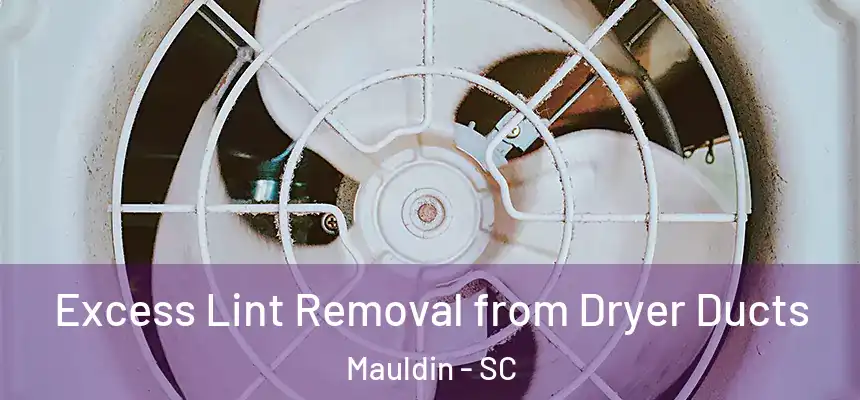  Excess Lint Removal from Dryer Ducts Mauldin - SC