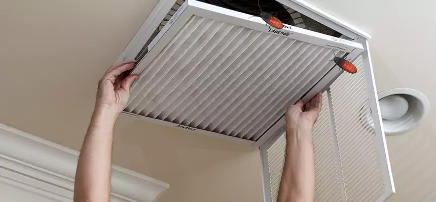 Preventive Cockroach-Proofing for Ducts in Mauldin