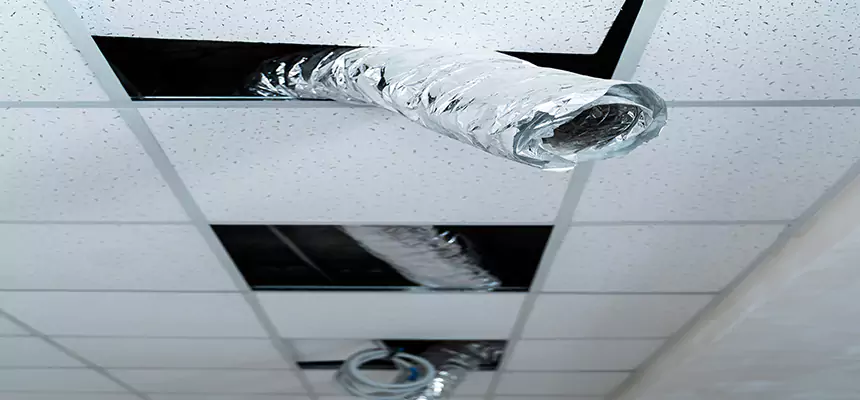 Our Air Duct Pet Hair Removal Services in Mauldin, SC