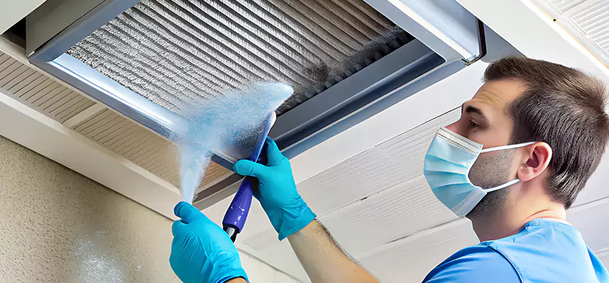 Proactive Dryer Vent & Auxiliary Duct Pollen Cleanup in Mauldin, SC