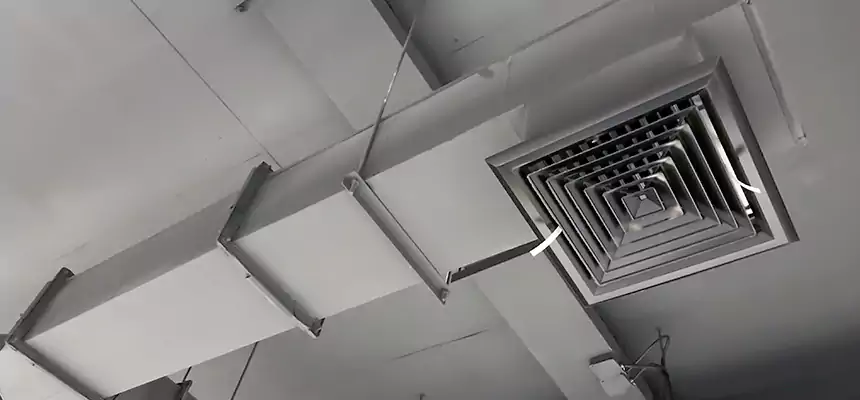 Our Rodent Droppings In Vents Services in Mauldin, SC