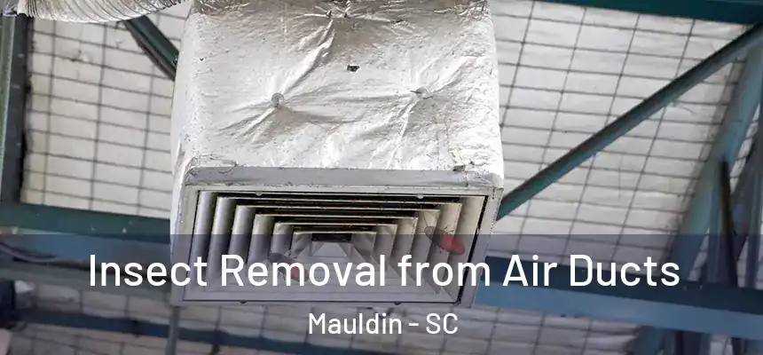  Insect Removal from Air Ducts Mauldin - SC