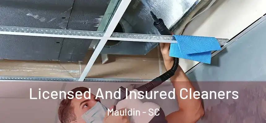  Licensed And Insured Cleaners Mauldin - SC
