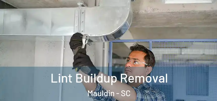 Lint Buildup Removal Mauldin - SC