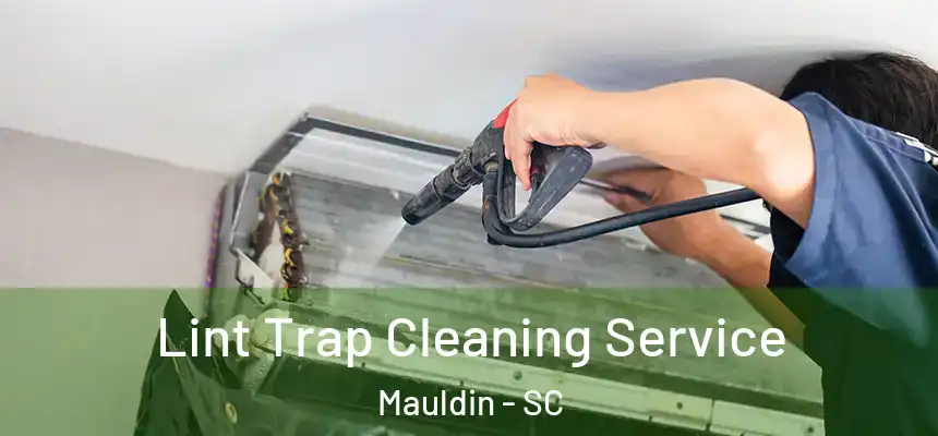 Lint Trap Cleaning Service Mauldin - SC