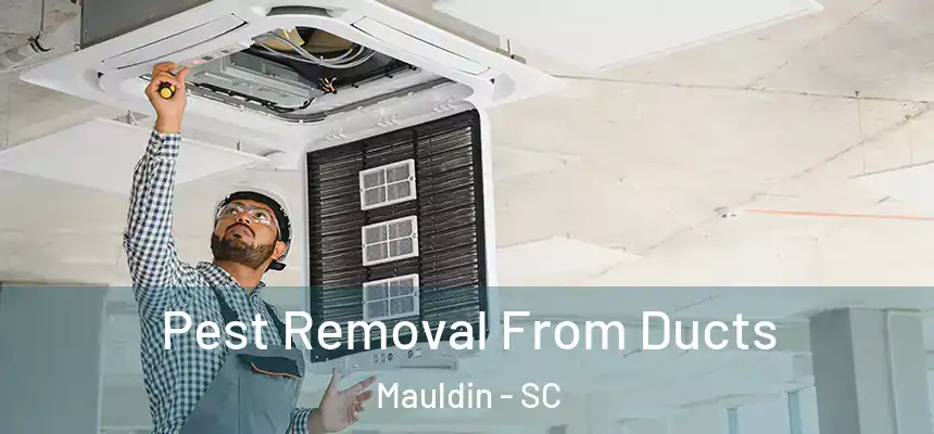 Pest Removal From Ducts Mauldin - SC