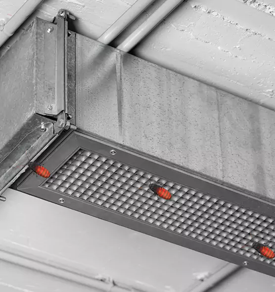 About Air Duct Cockroach Removal in Mauldin, SC
