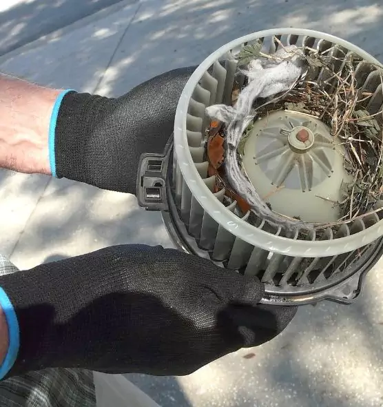 About Air Duct Rat Removal in Mauldin, SC