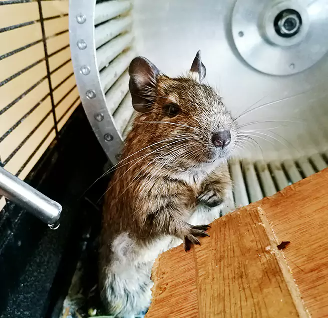 Why Homeowners & Businesses Trust Us Mauldin, SC