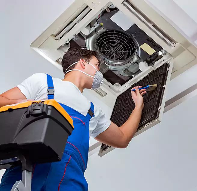 Why Homeowners & Businesses Trust Us in Mauldin, SC