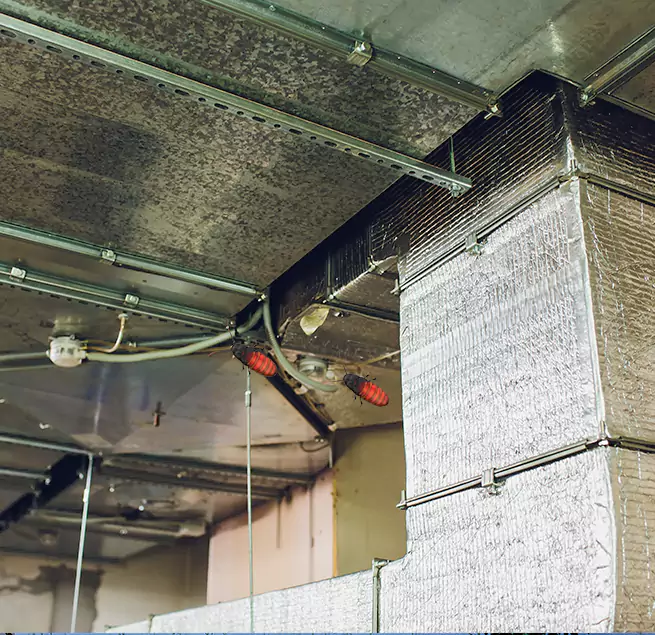 Why Homeowners & Businesses Trust Us Mauldin, SC?