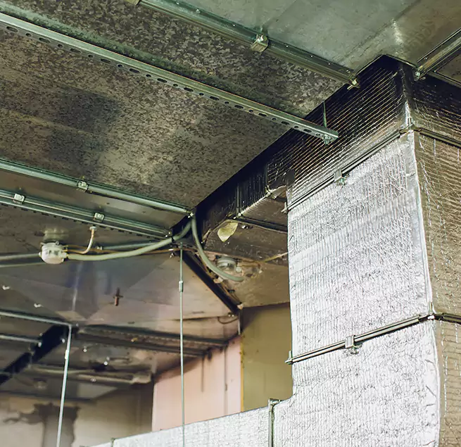 Why Homeowners & Businesses Trust Us in Mauldin, SC?