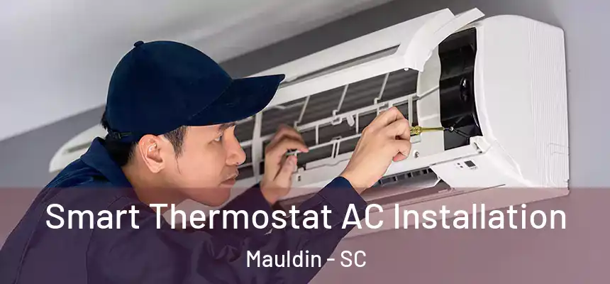 Smart Thermostat AC Installation Mauldin - SC
