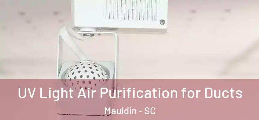 UV Light Air Purification for Ducts Mauldin - SC