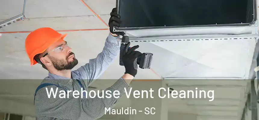 Warehouse Vent Cleaning Mauldin - SC